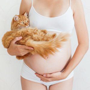 Toxoplasmosis gatos y embarazo falsos mitos y cómo tratarlo